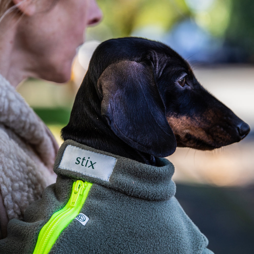 Stix & Co Dachshund Dog Coat Earth Green