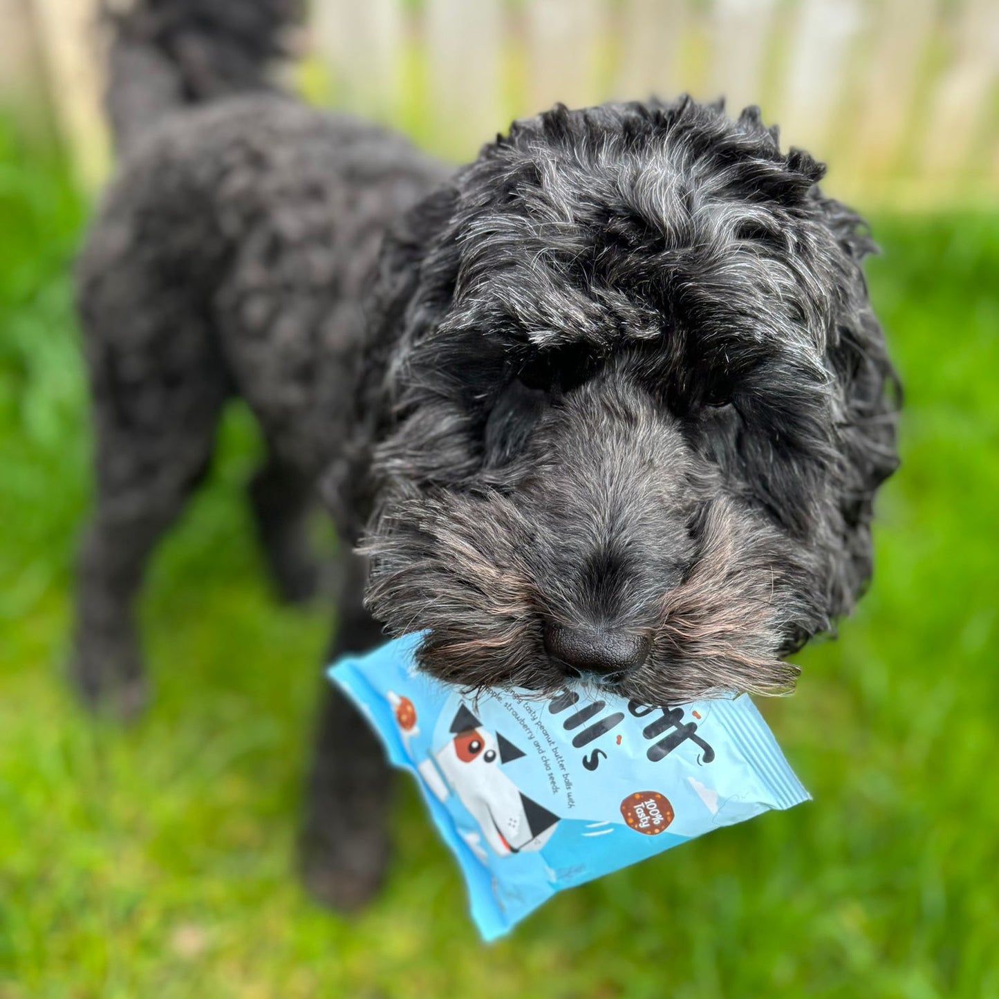 Peamutt Balls Peanut Butter Dog Treats 45g