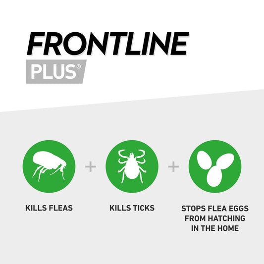 FRONTLINE Plus Spot On Flea And Tick Treatment Cat and Ferret