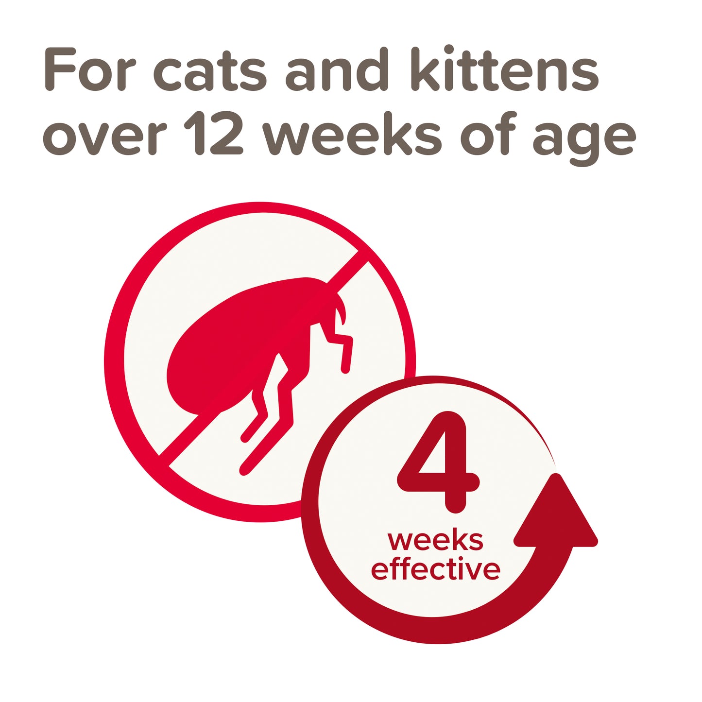 Beaphar Plant-Based Spot-On Flea Repellent for Cats 3 Pipette