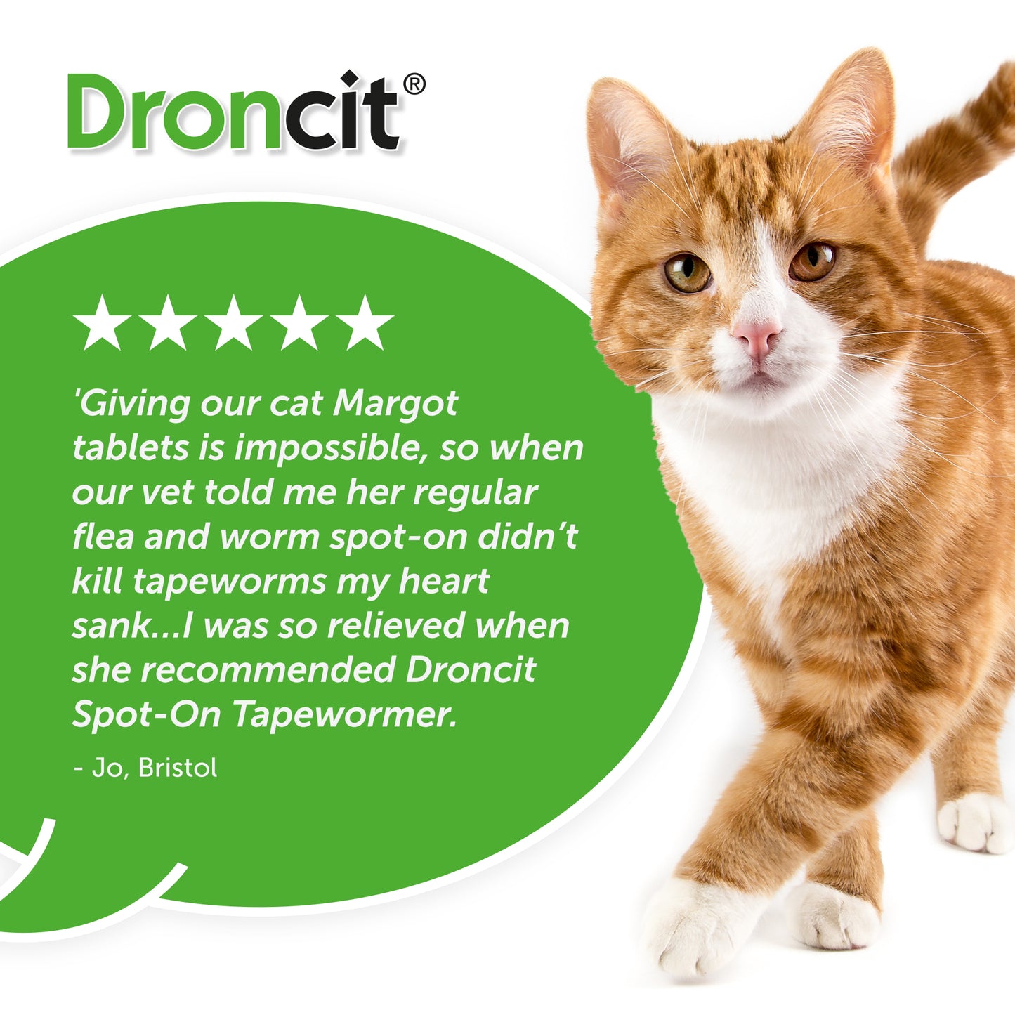 Droncit Spot-On Tapewormer For Cats from 1kg 4 Pack