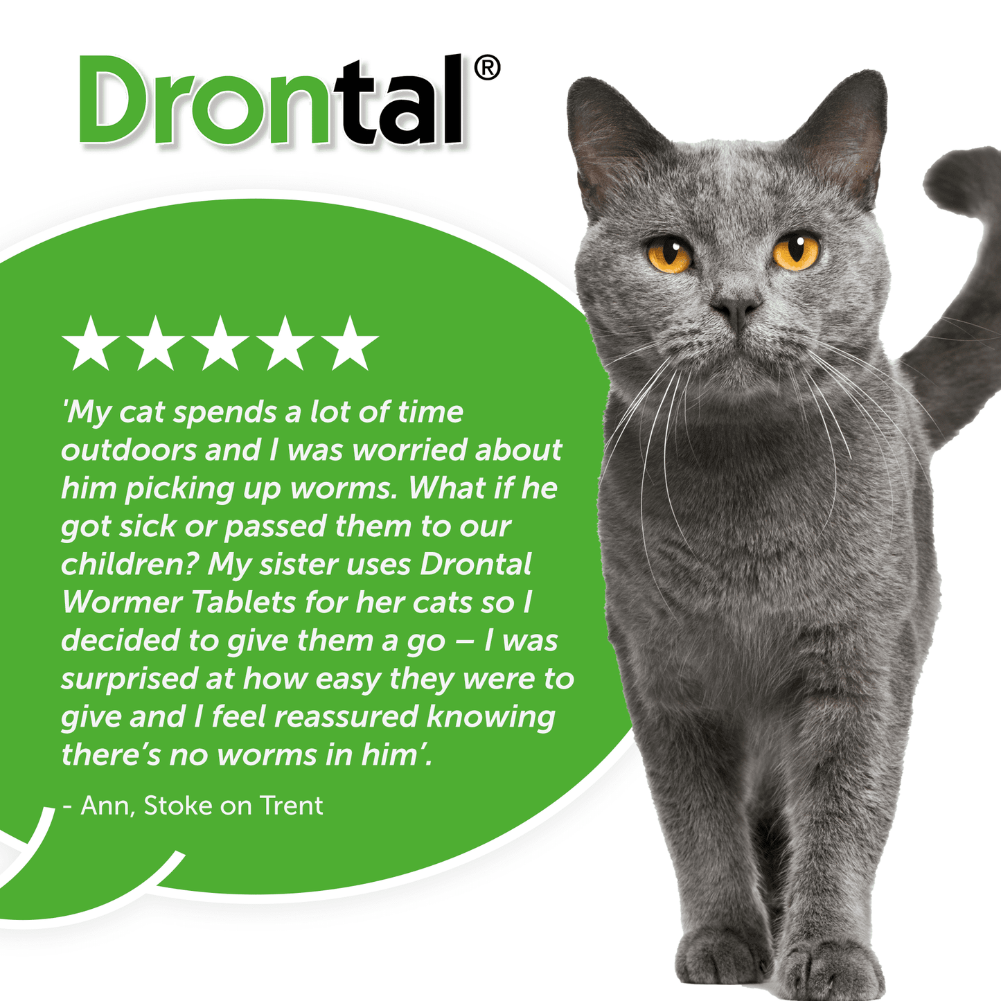 Drontal Wormer Tablets for Cats 2 Pack