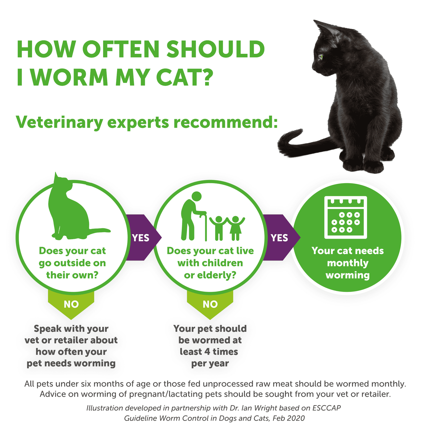 Dronspot Spot-On Wormer for Cats