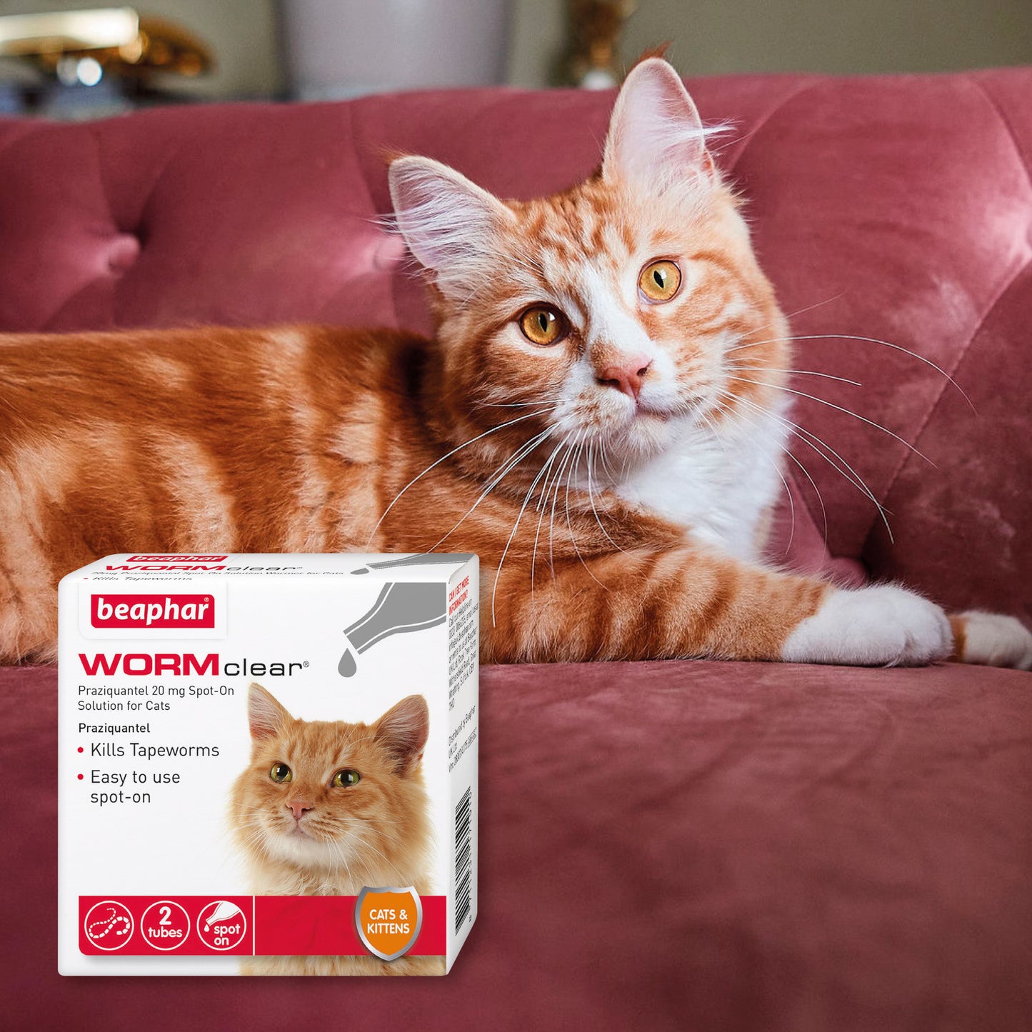 Beaphar WORMclear Worming Spot-On for Cats 2 Pack