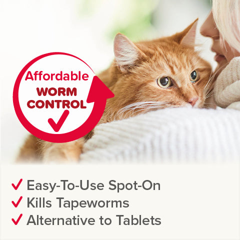 Beaphar WORMclear Worming Spot-On for Cats 2 Pack