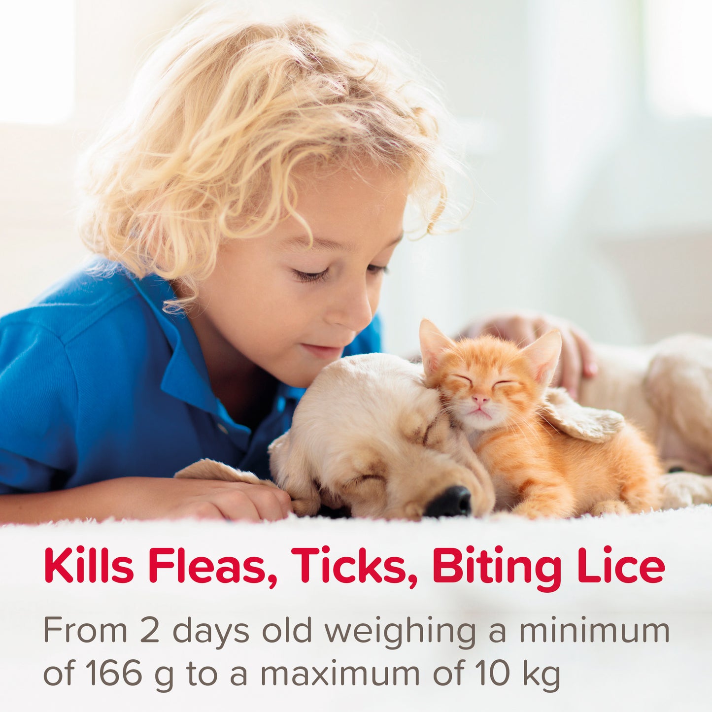 Beaphar FIPROtec Flea & Tick Spray for Cats & Dogs 100ml