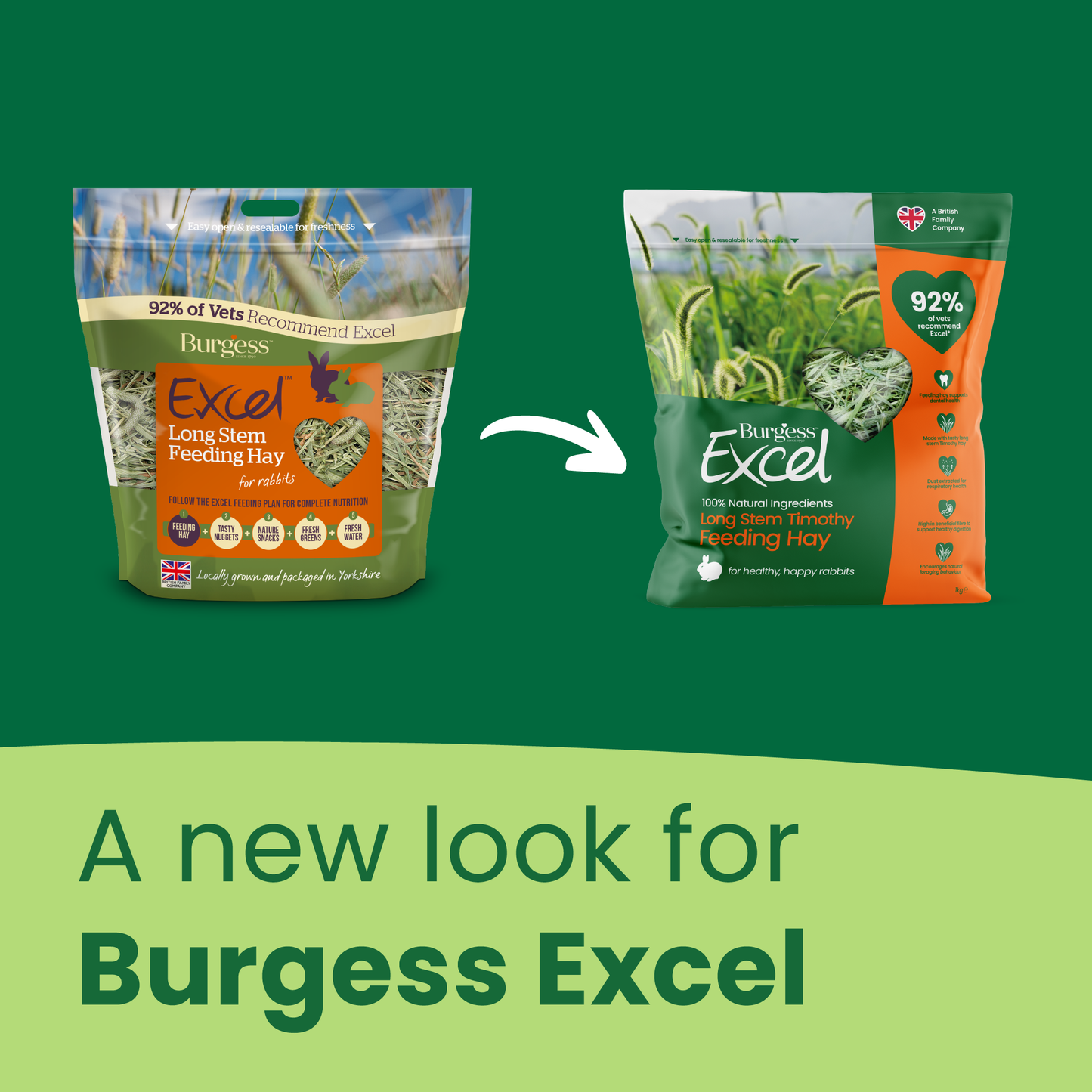 Burgess Excel Long Stem Feeding Hay 1kg