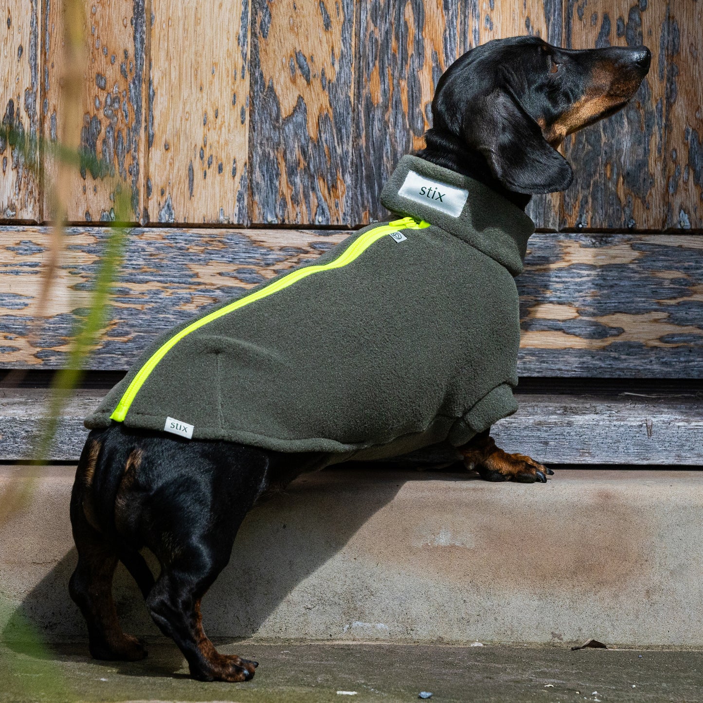 Stix & Co Dachshund Dog Coat Earth Green