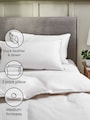 Set of 2 Medium 100% Cotton Duck Feather And Down Pillows