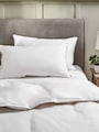 Set of 2 Medium 100% Cotton Duck Feather And Down Pillows