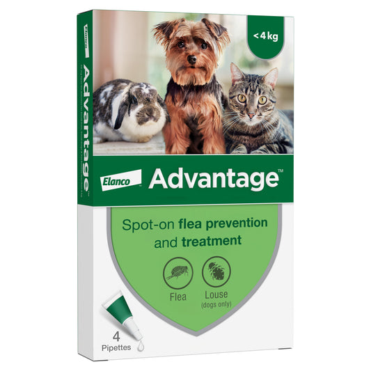 Advantage Spot-On Flea Treatment for Cats, Small Dogs & Rabbits 4 Pack