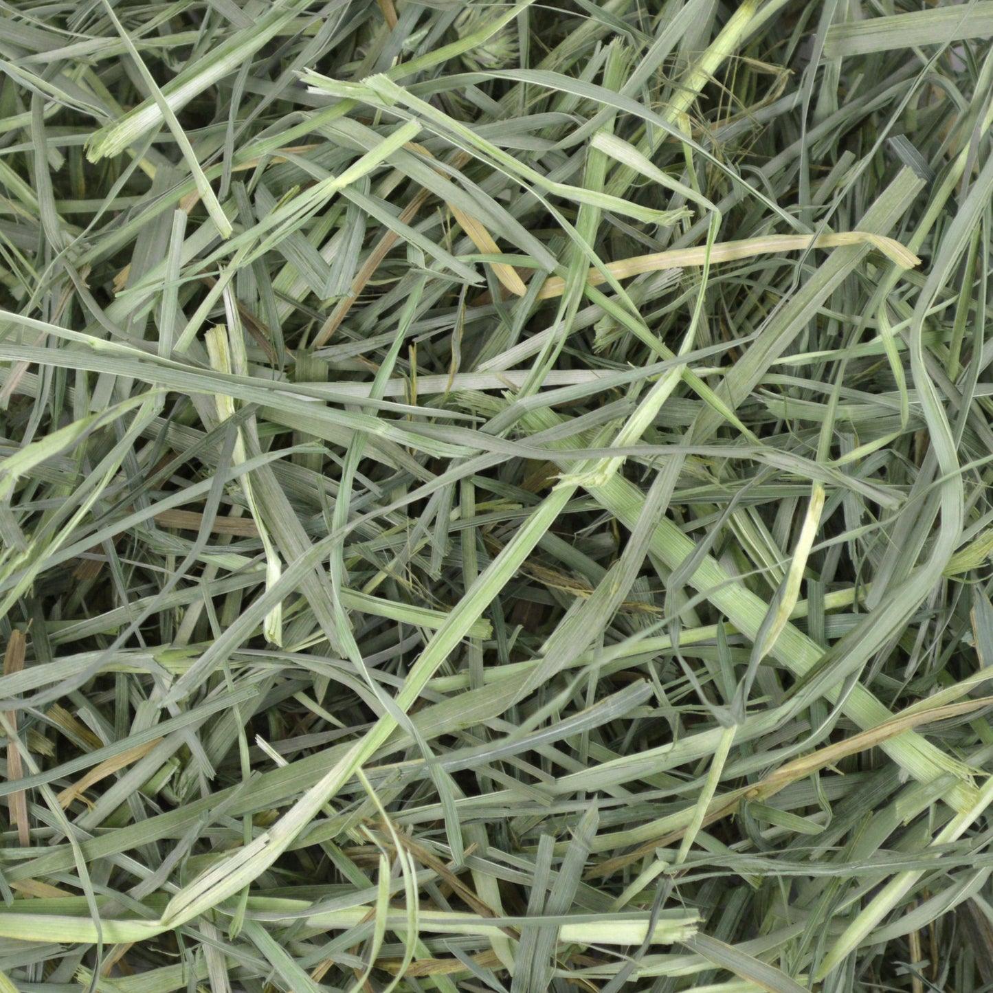 Oxbow Small Animal Orchard Grass Hay Food 4.05kg