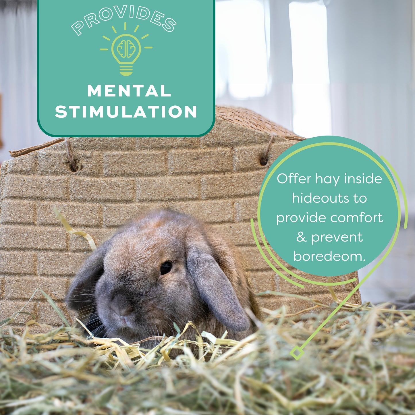 Oxbow Small Animal Orchard Grass Hay Food 4.05kg