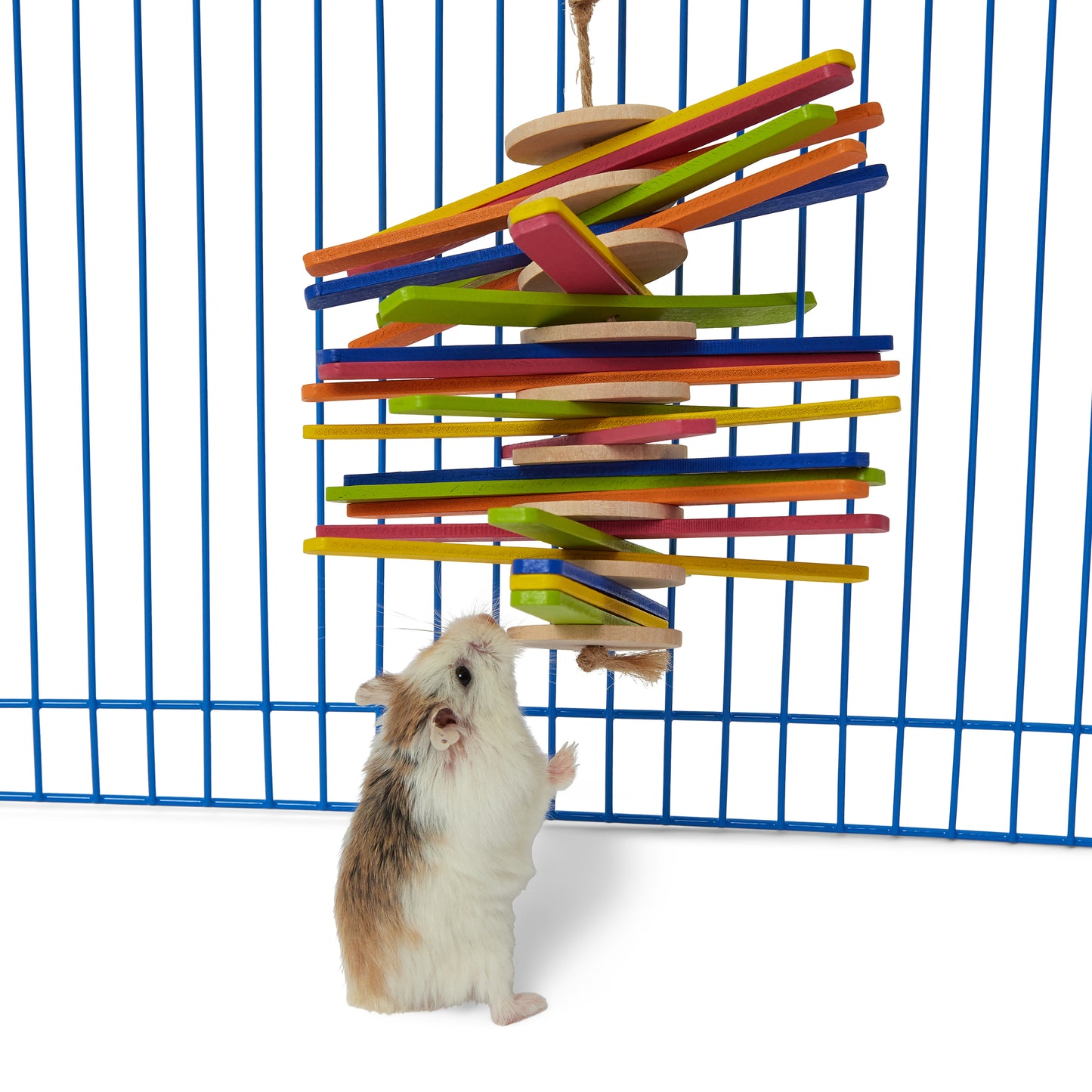Pets at Home Small Animal Bright Stick Mobile Chew Toy