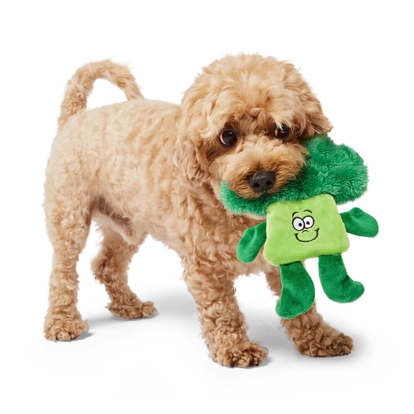 Pets at Home Broccoli Flattie Crinkle & Squeak Dog Toy Mini