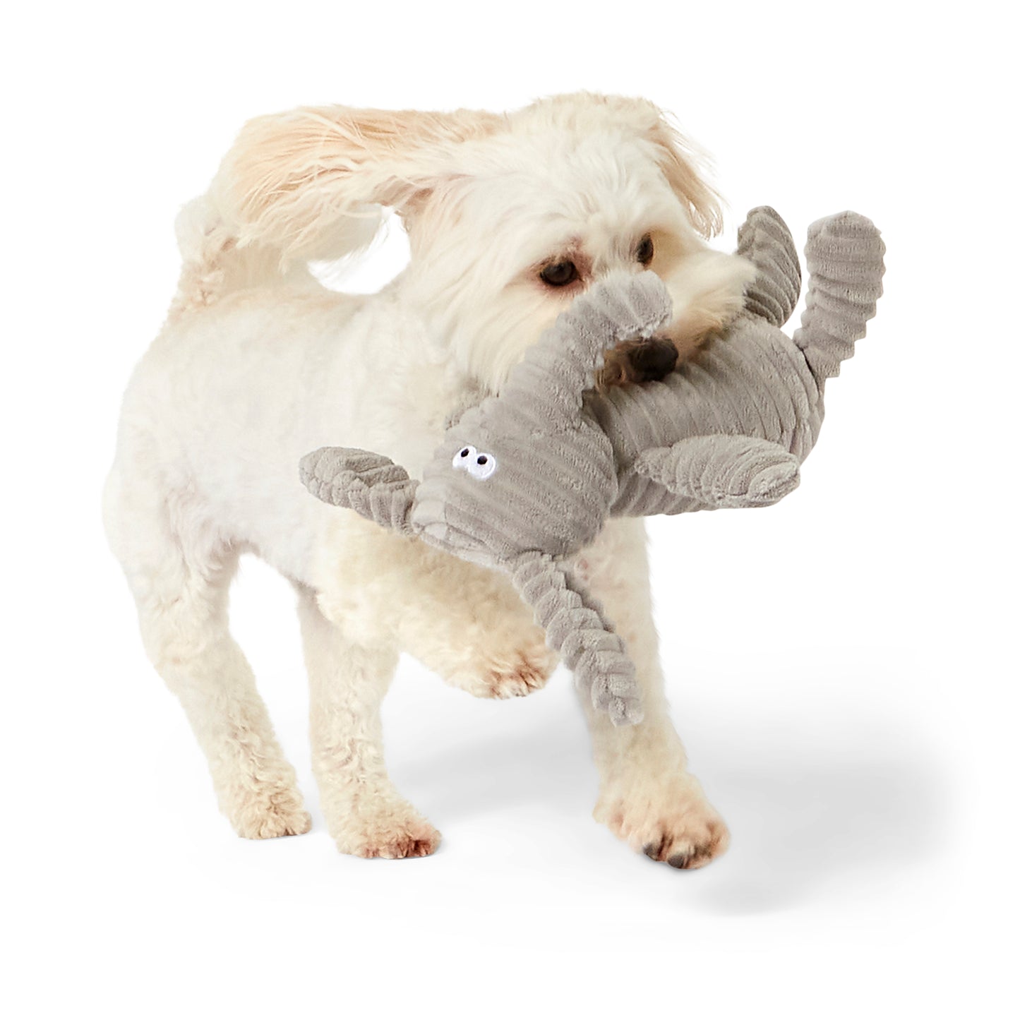 Pets at Home Cord Elephant Squeaky Dog Toy