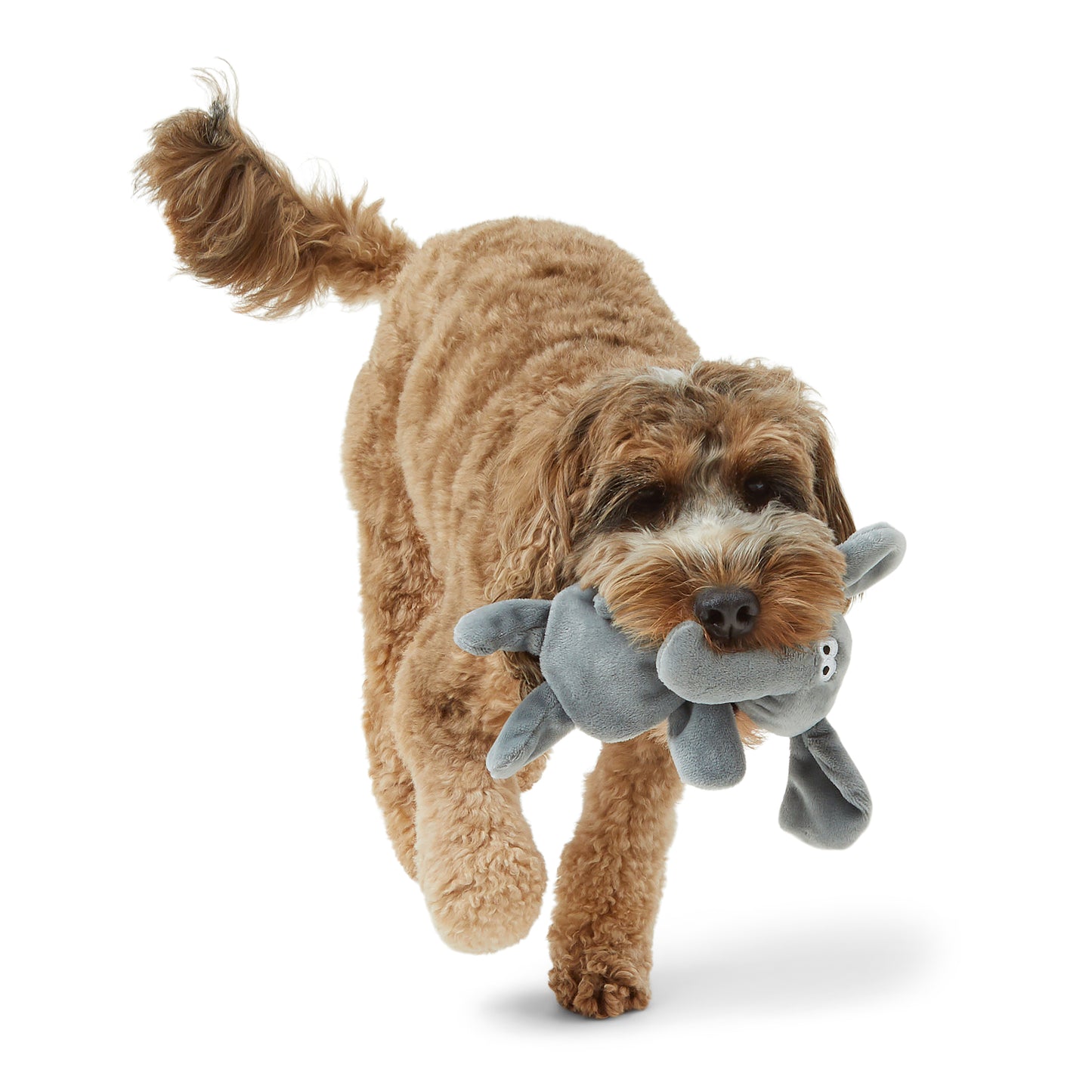 Pets at Home Elephant Flattie Crackle & Squeak Dog Toy Mini