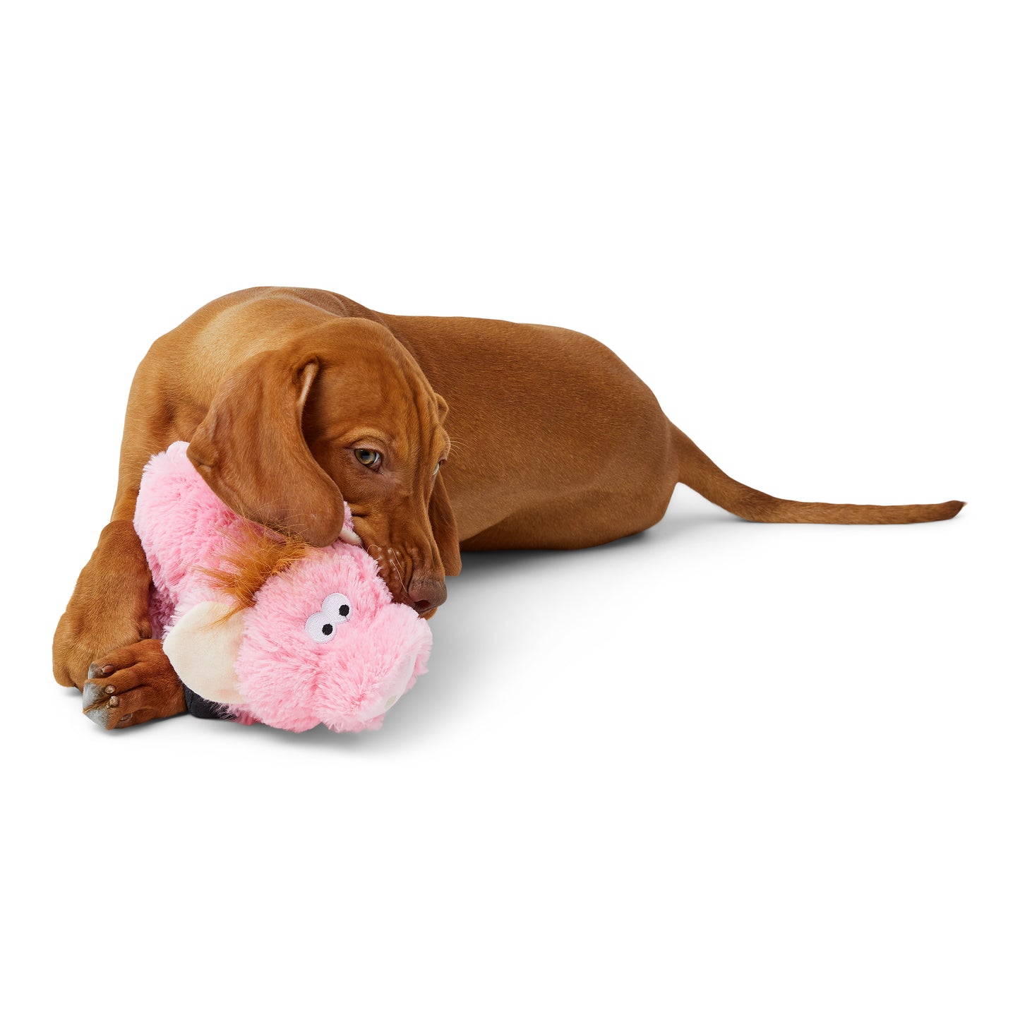 Pets at Home Honking Pig Dog Toy Pink