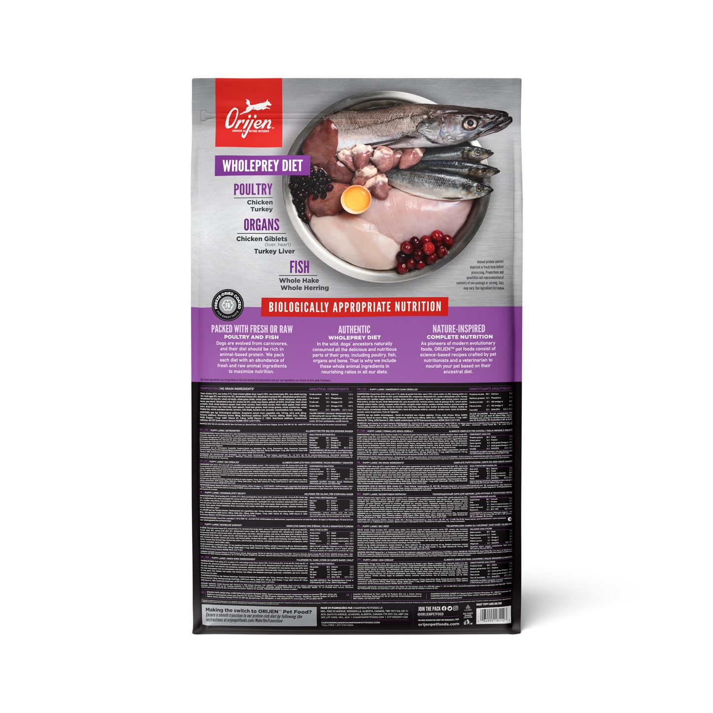 ORIJEN Large Breed Puppy Dry Food with Chicken Turkey & Fish