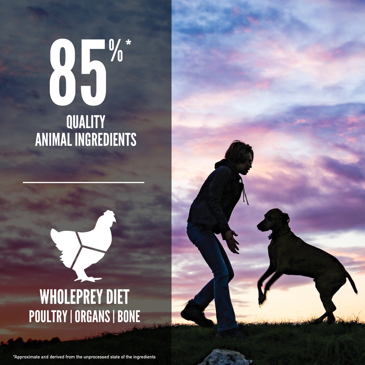ORIJEN Large Breed Puppy Dry Food with Chicken Turkey & Fish