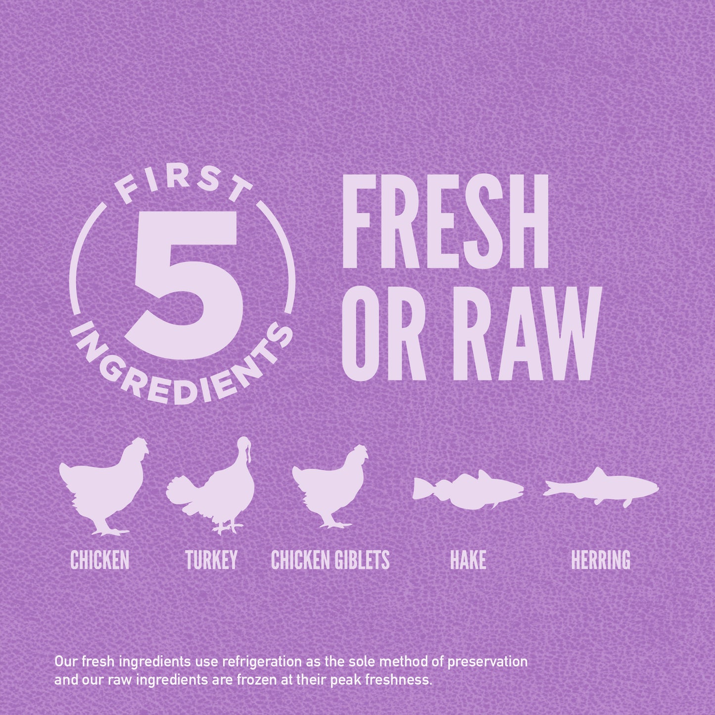 ORIJEN Large Breed Puppy Dry Food with Chicken Turkey & Fish