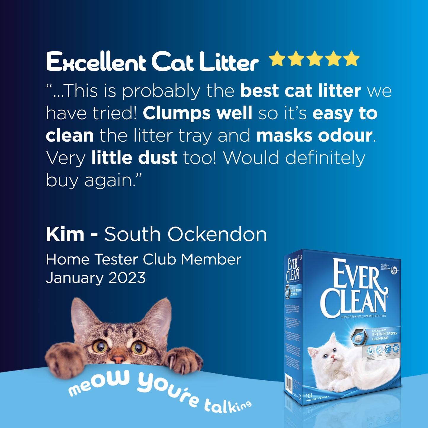 Ever Clean Extra Strong Clumping Cat Litter Unscented 10L