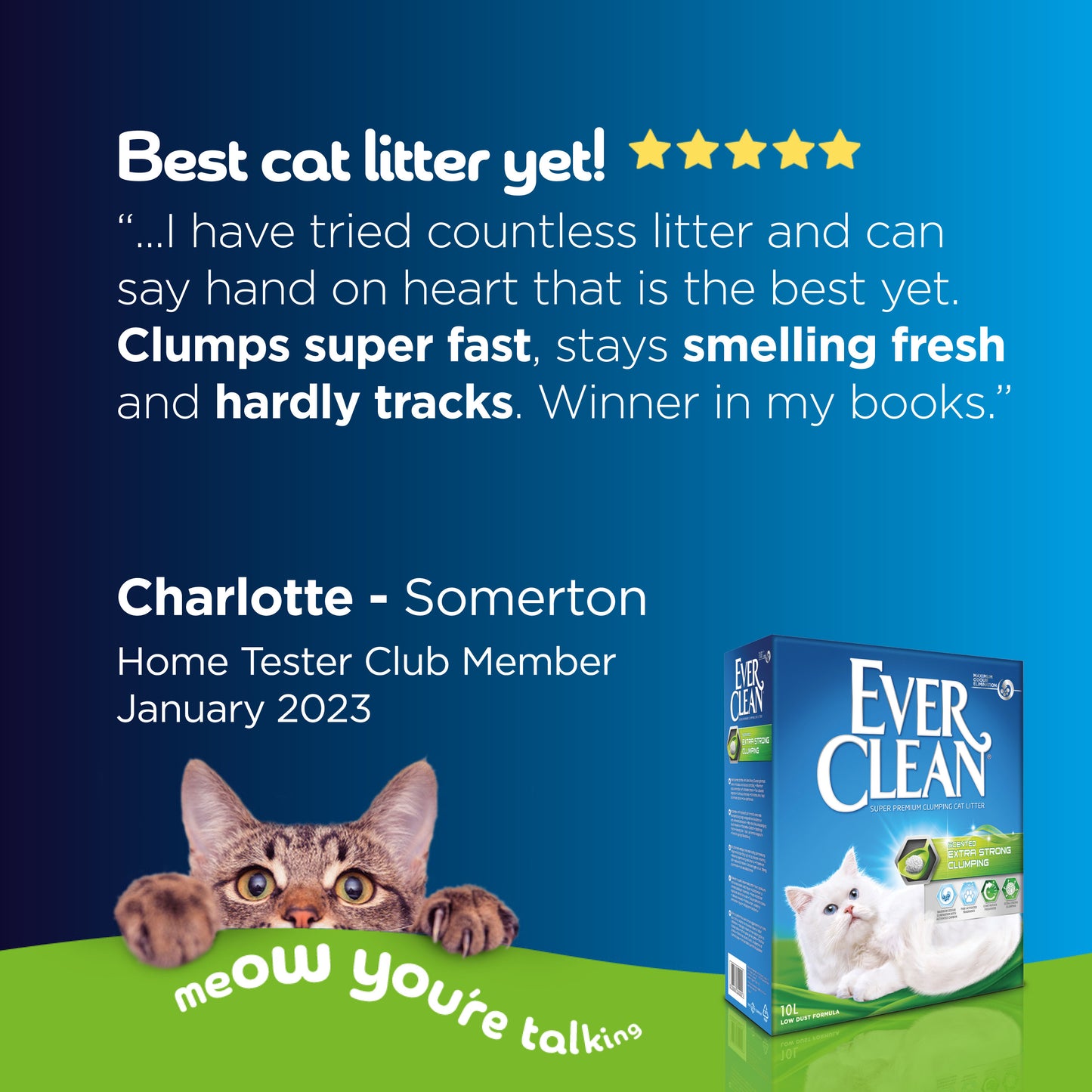 Ever Clean Extra Strong Clumping Cat Litter Scented 10L