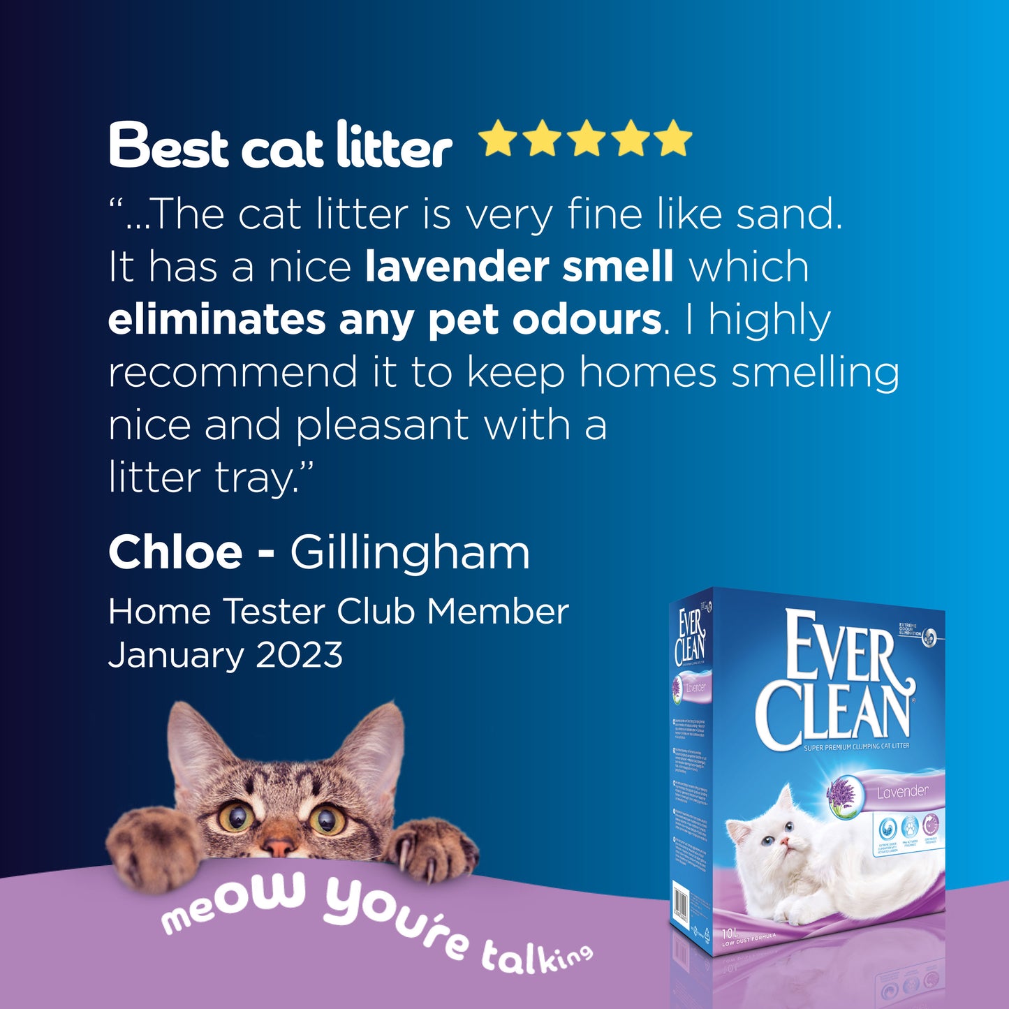 Ever Clean Lavender Clumping Cat Litter 10L