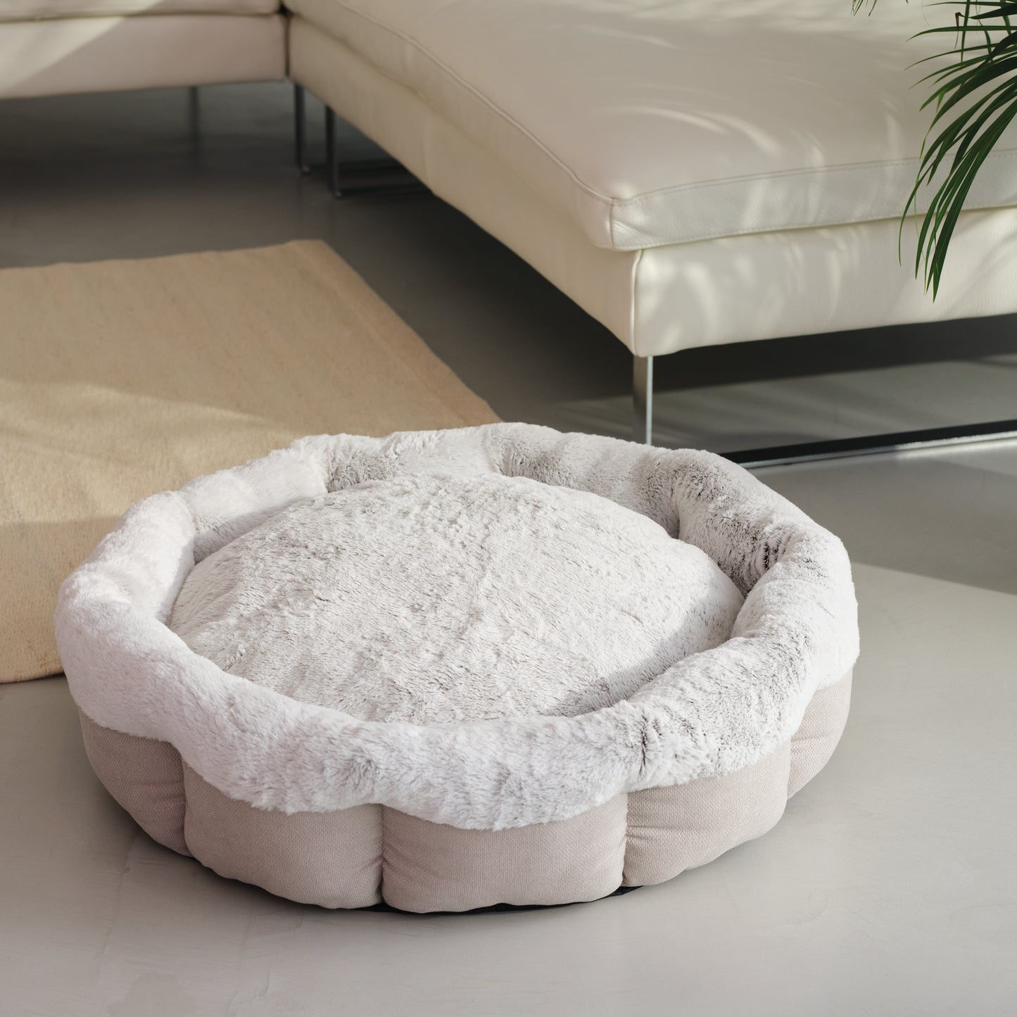 Noble Memory Foam Scalloped Donut Dog Bed Biscuit
