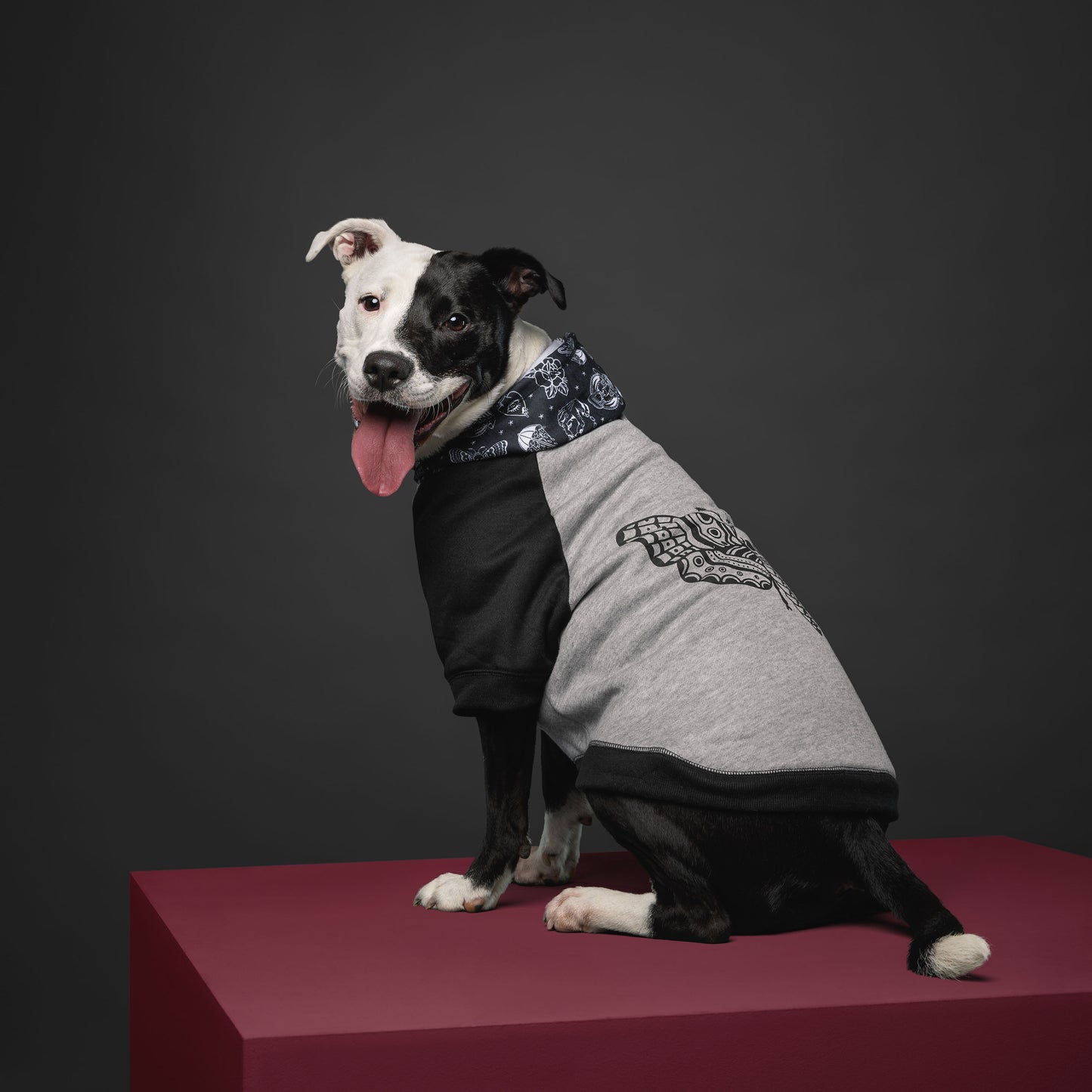 Pets Loves x Bad Monday Flash Art Raglan Dog Hoodie
