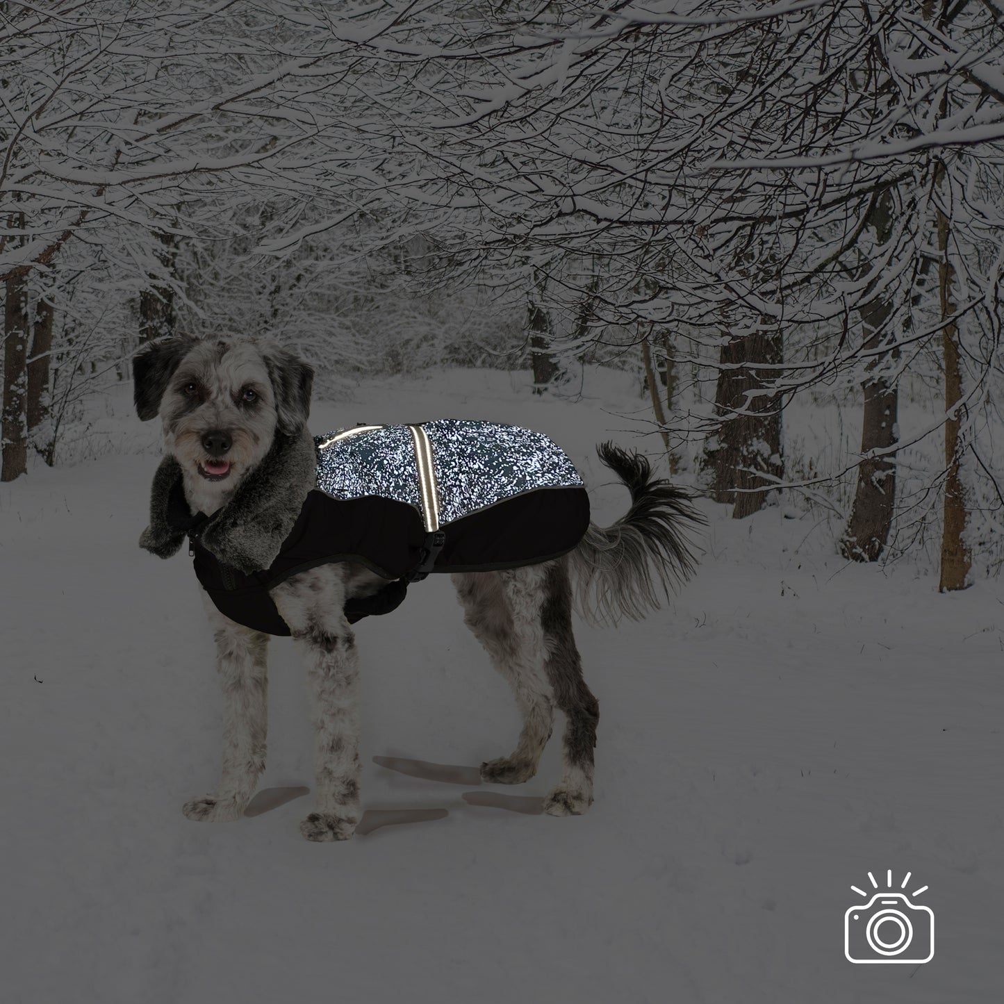 Dog Gone Smart Aspen Black & Meteor Reflective Splash Dog Coat