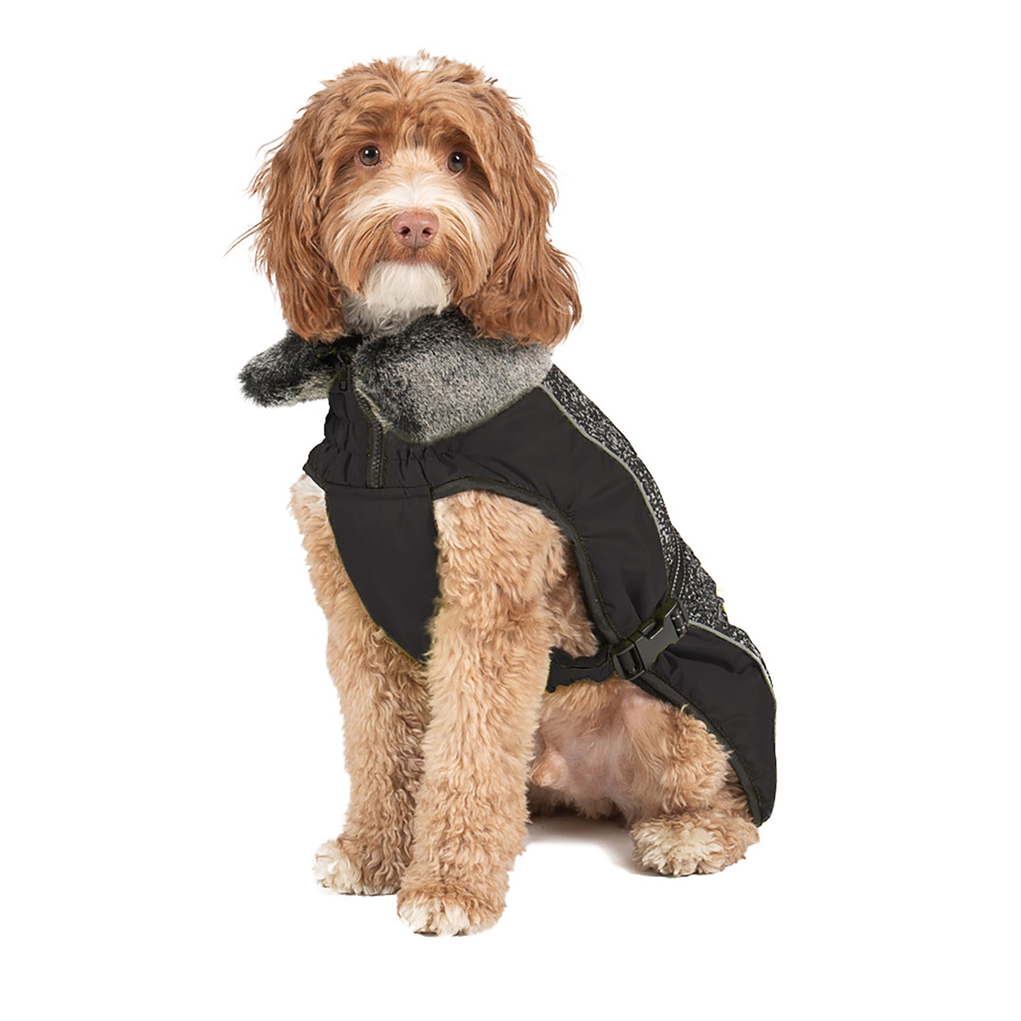 Dog Gone Smart Aspen Black & Meteor Reflective Splash Dog Coat