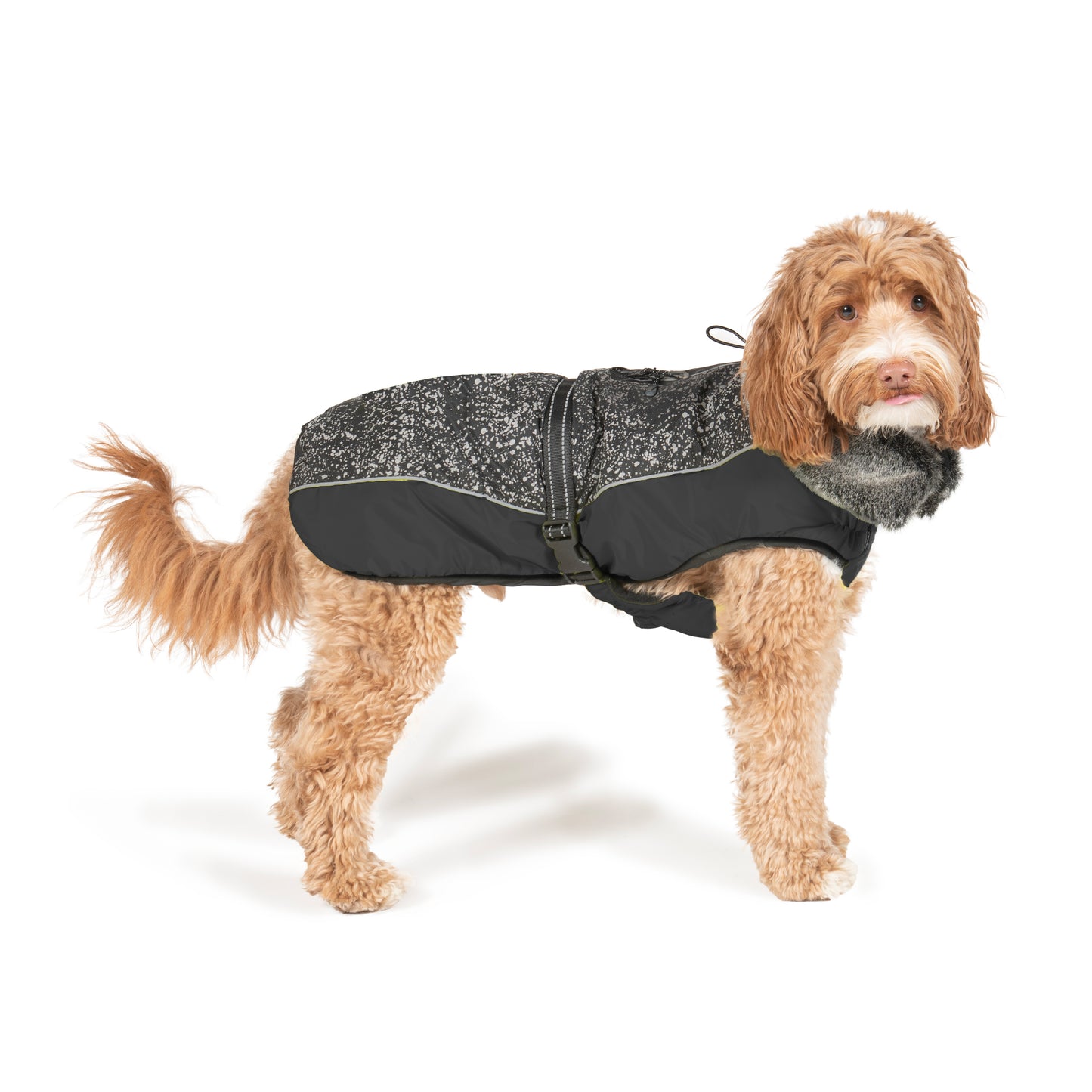 Dog Gone Smart Aspen Black & Meteor Reflective Splash Dog Coat