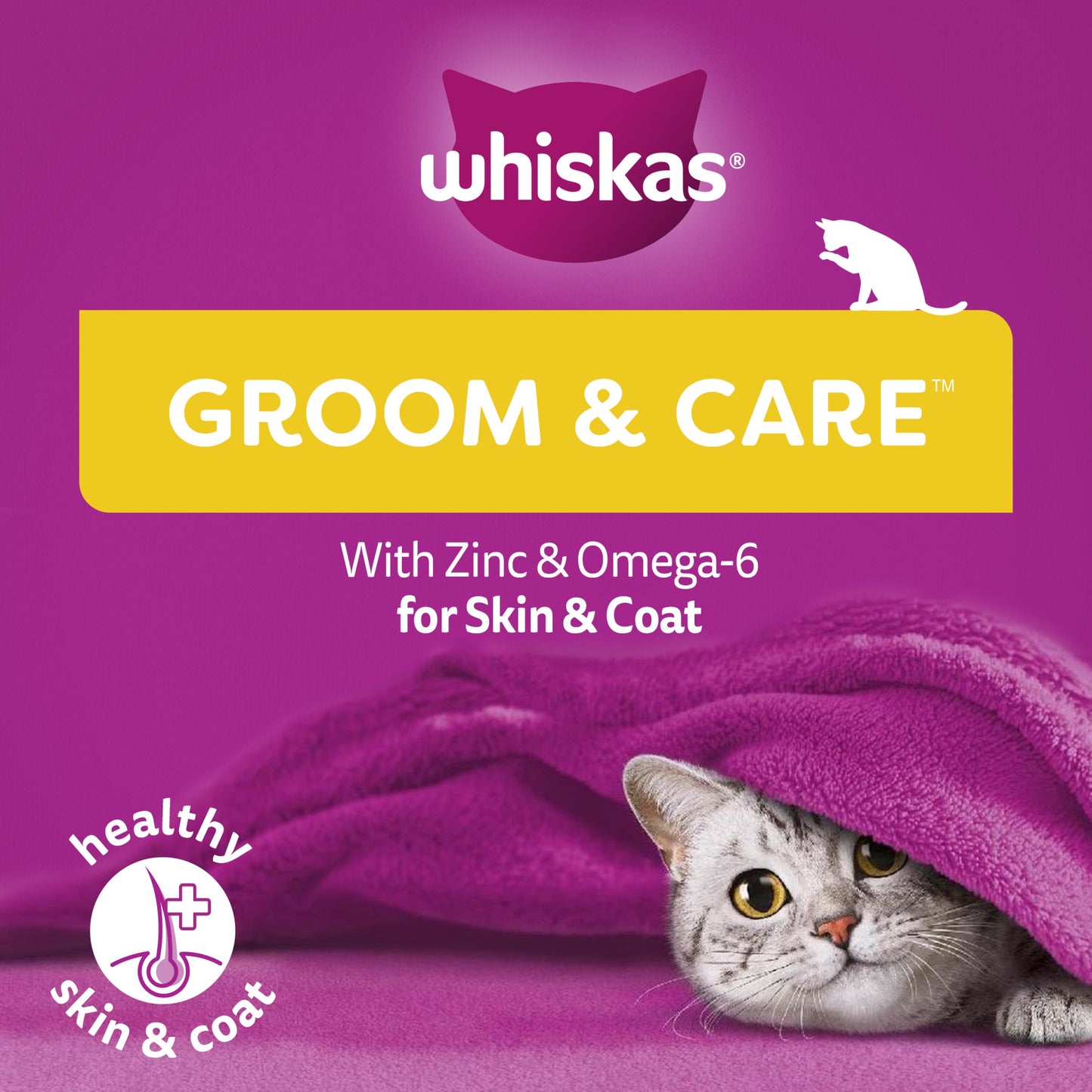 Whiskas Groom & Care Cat Treats 45g