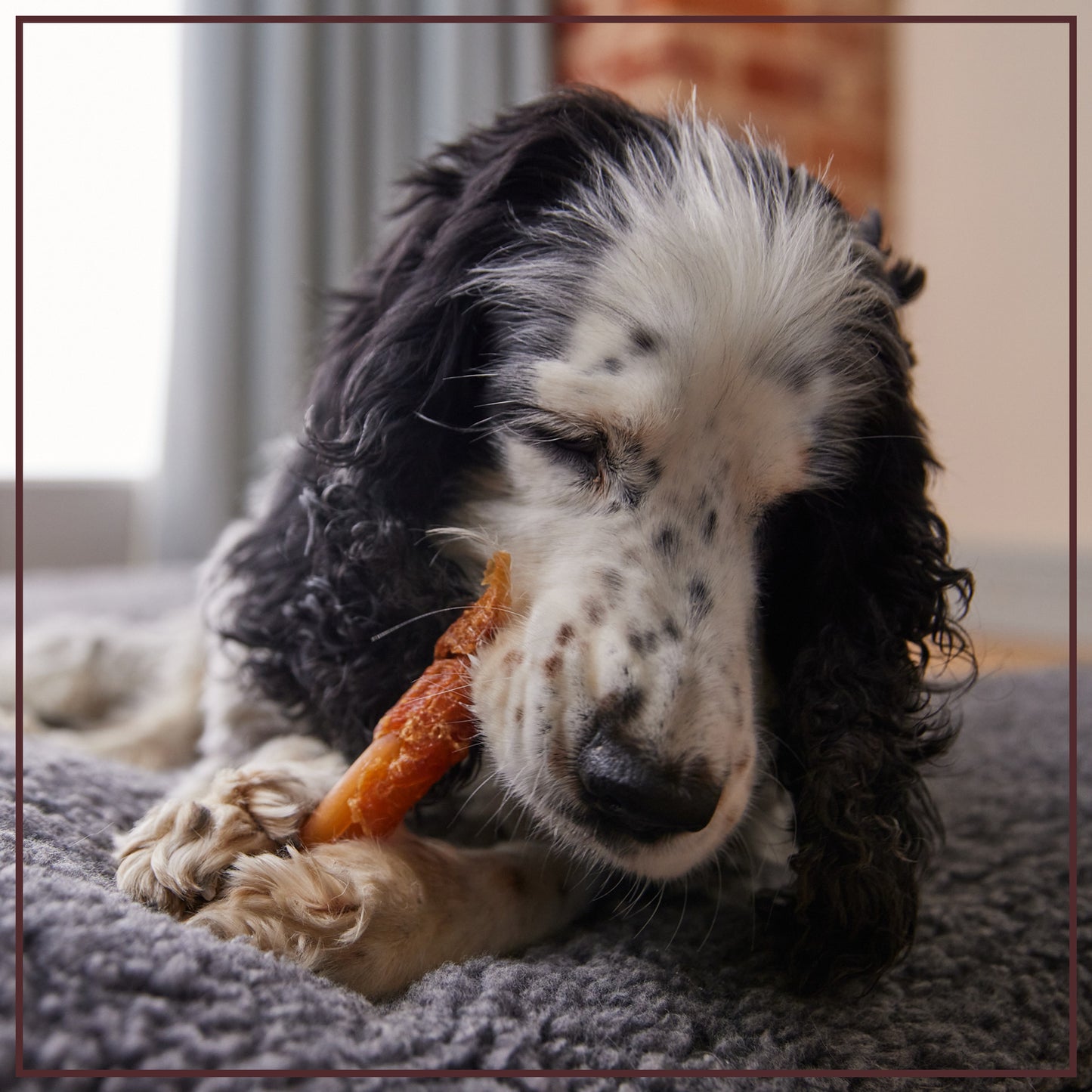 SmartBones More Meaty Rawhide Free Chicken Twisters Dog Treats 75g 5 Pack