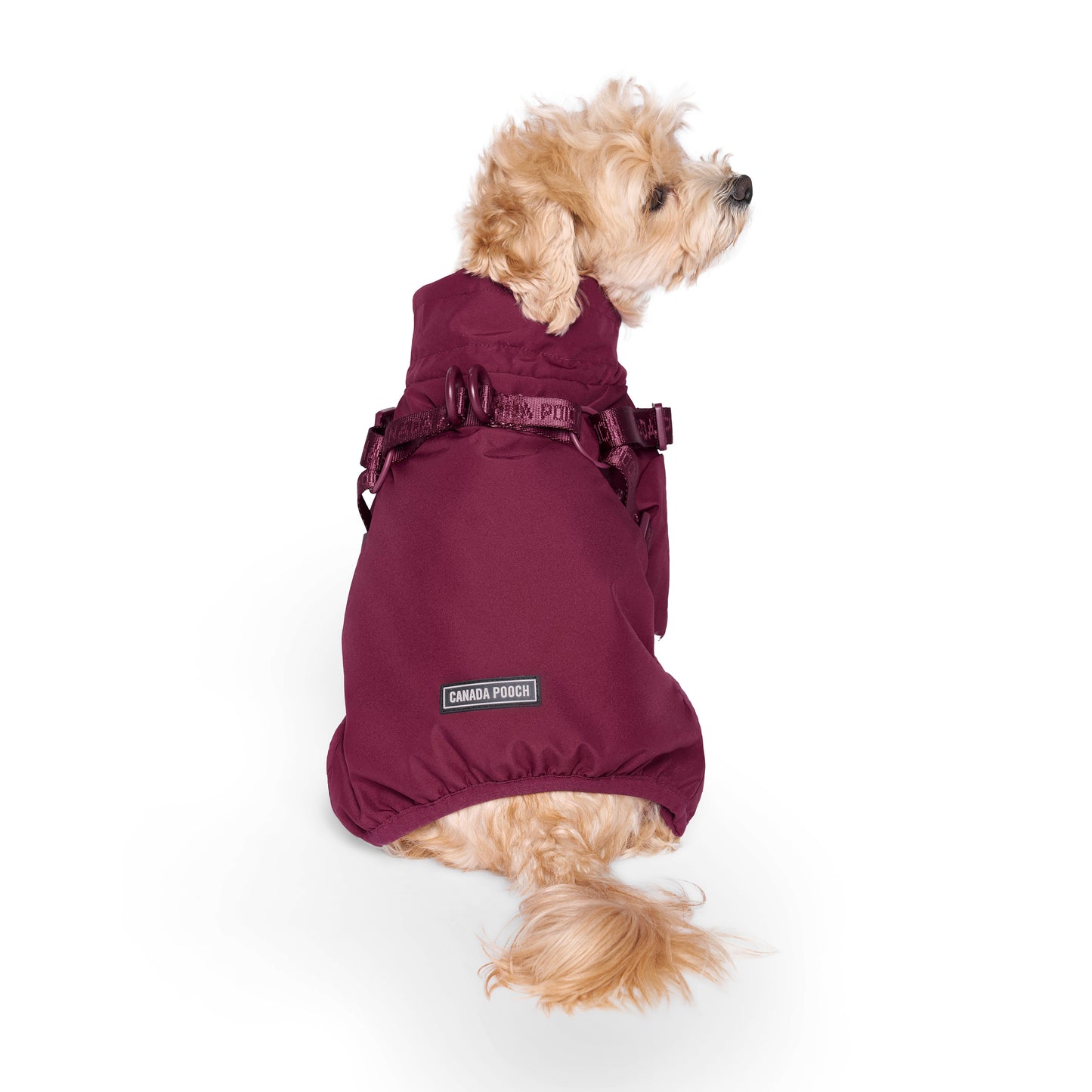 Canada Pooch Dog Snowsuit Harness Plum