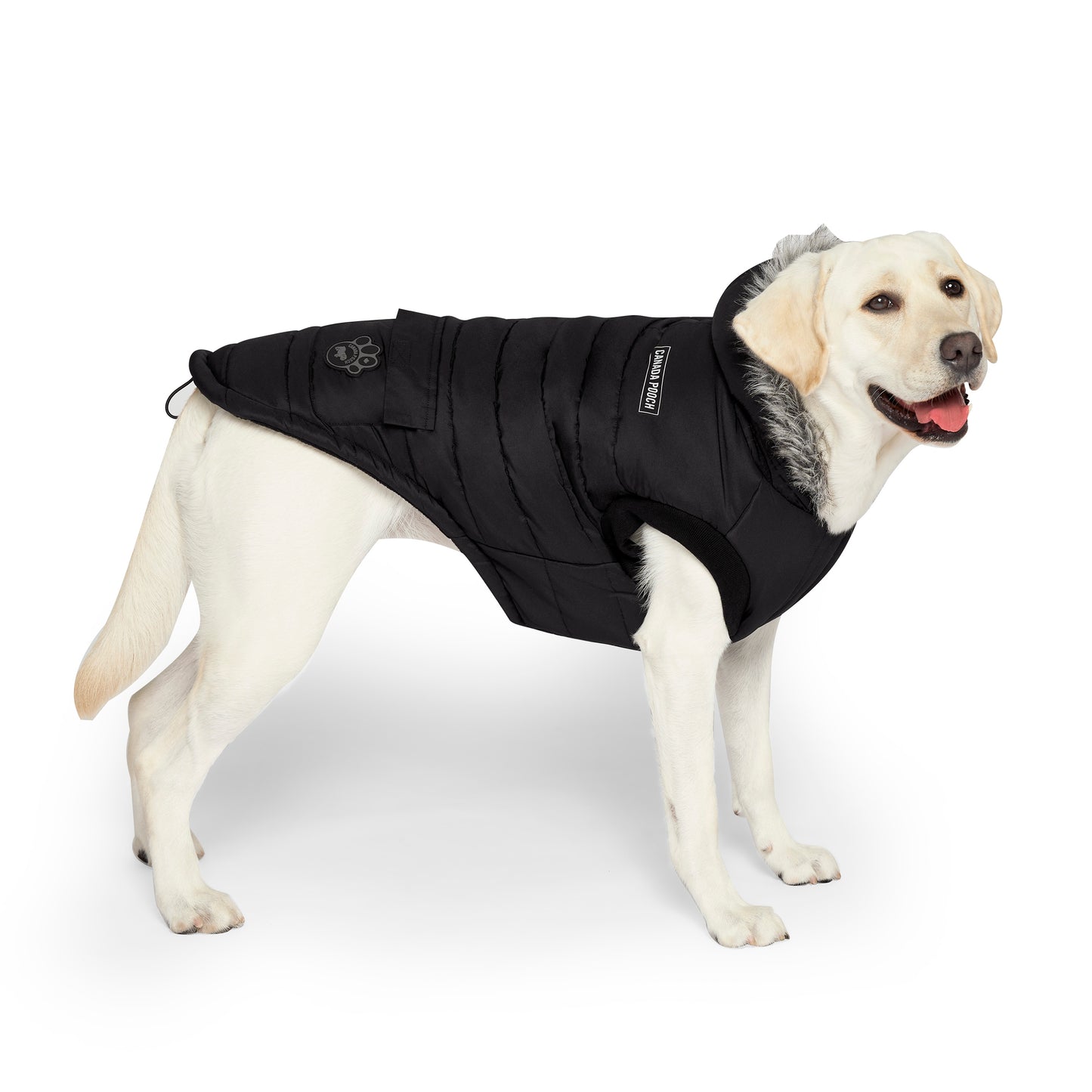 Canada Pooch True North Parka Dog Coat Black