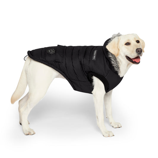Canada Pooch True North Parka Dog Coat Black