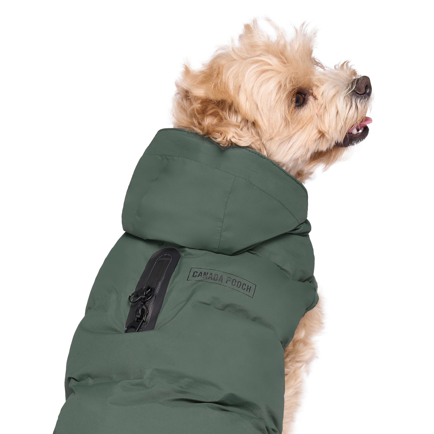 Canada Pooch The Waterproof Puffer Dog Coat Army Green