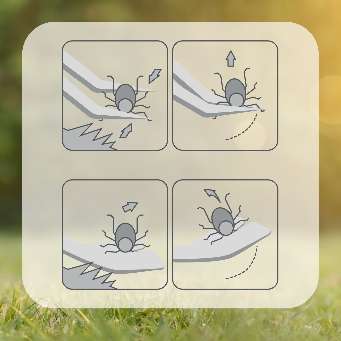Vet's Best 2-in-1 Tick Remover