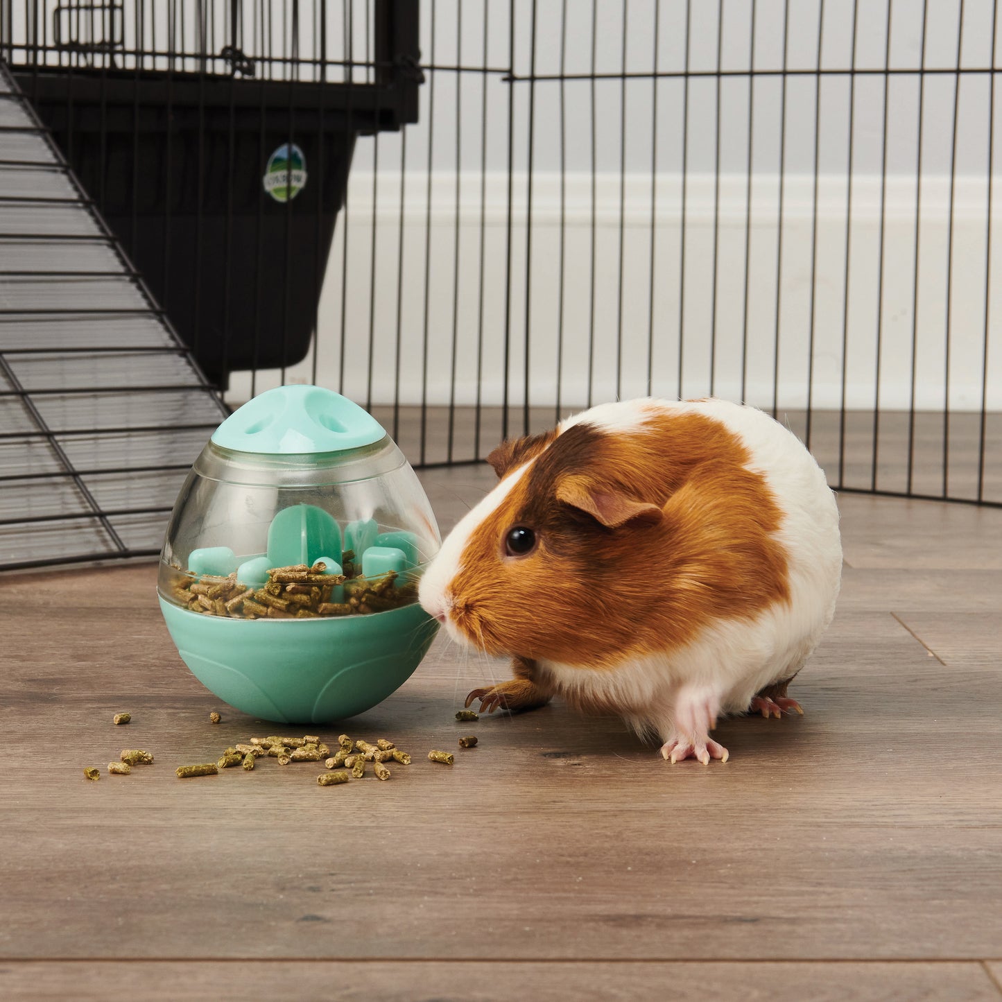 Oxbow Wobble Teaser Small Animal Food Dispenser