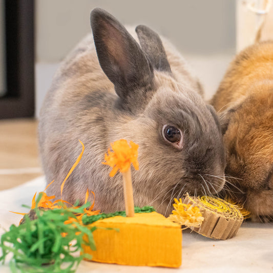 Oxbow Birthday Party Small Animal Chew Toys x5