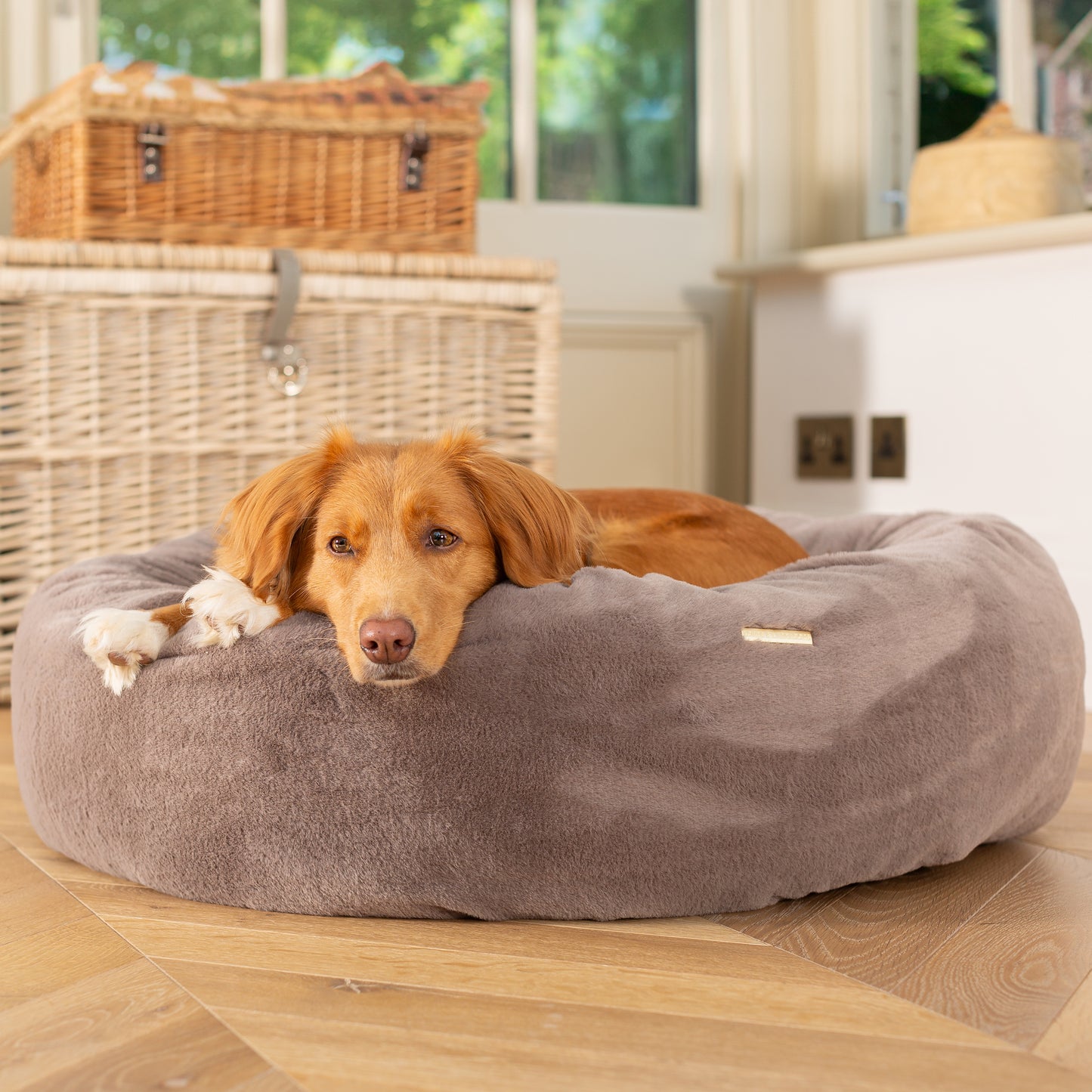 Lords & Labradors Calming Anti-Anxiety Donut Dog Bed Fawn