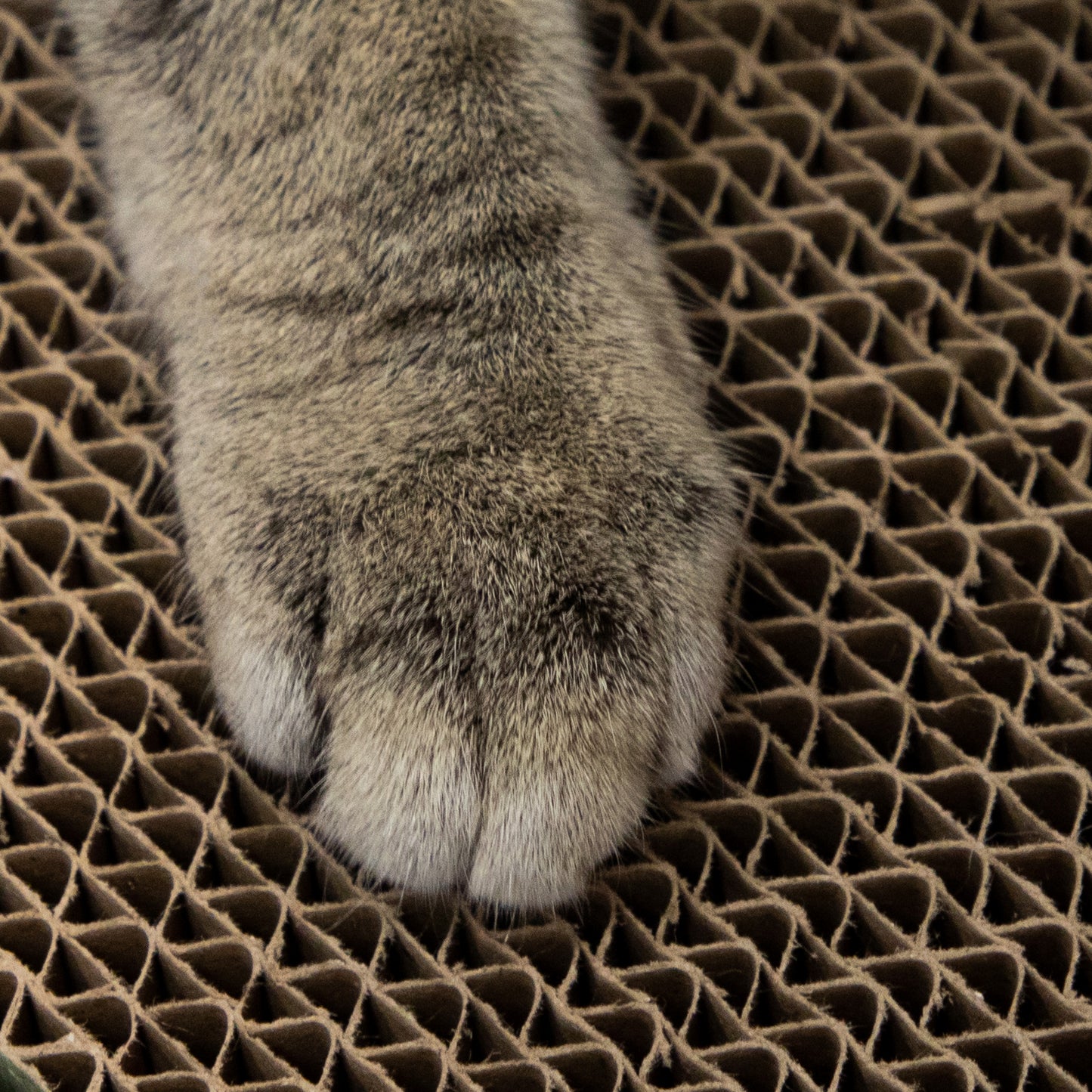 Kitty City XL Cat Scratchers Multi-Pack