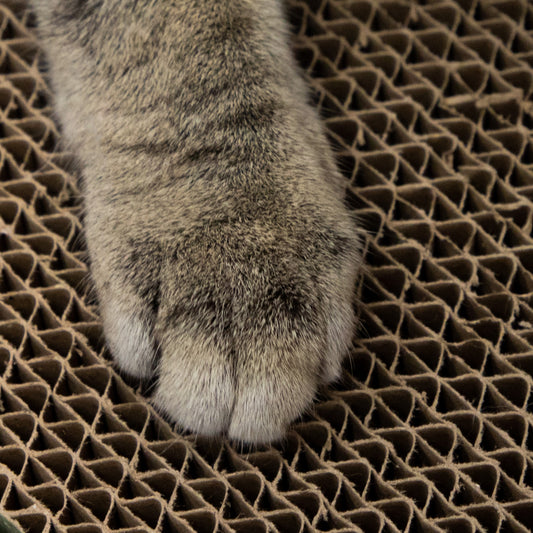 Kitty City XL Cat Scratchers Multi-Pack