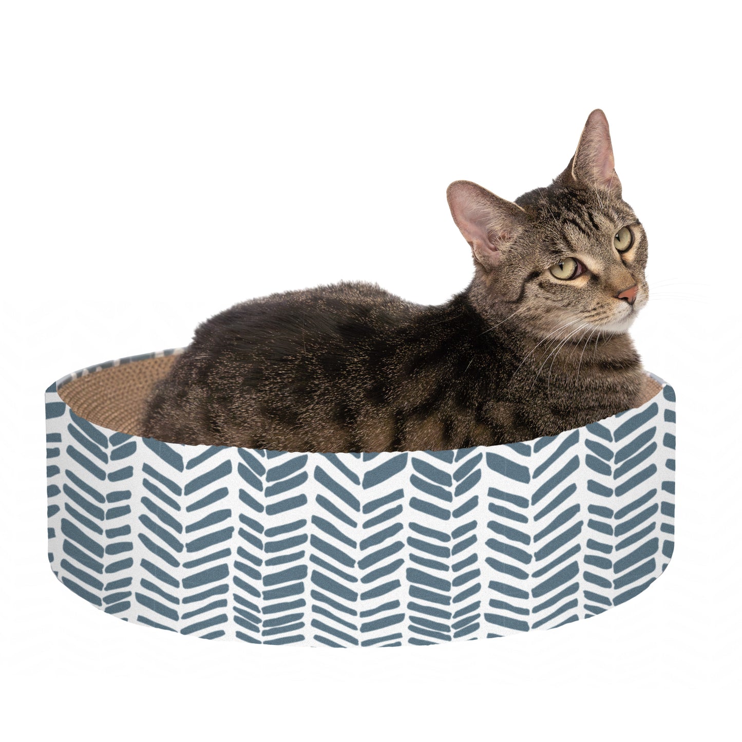 Kitty City Printed Corrugated Cat Bed