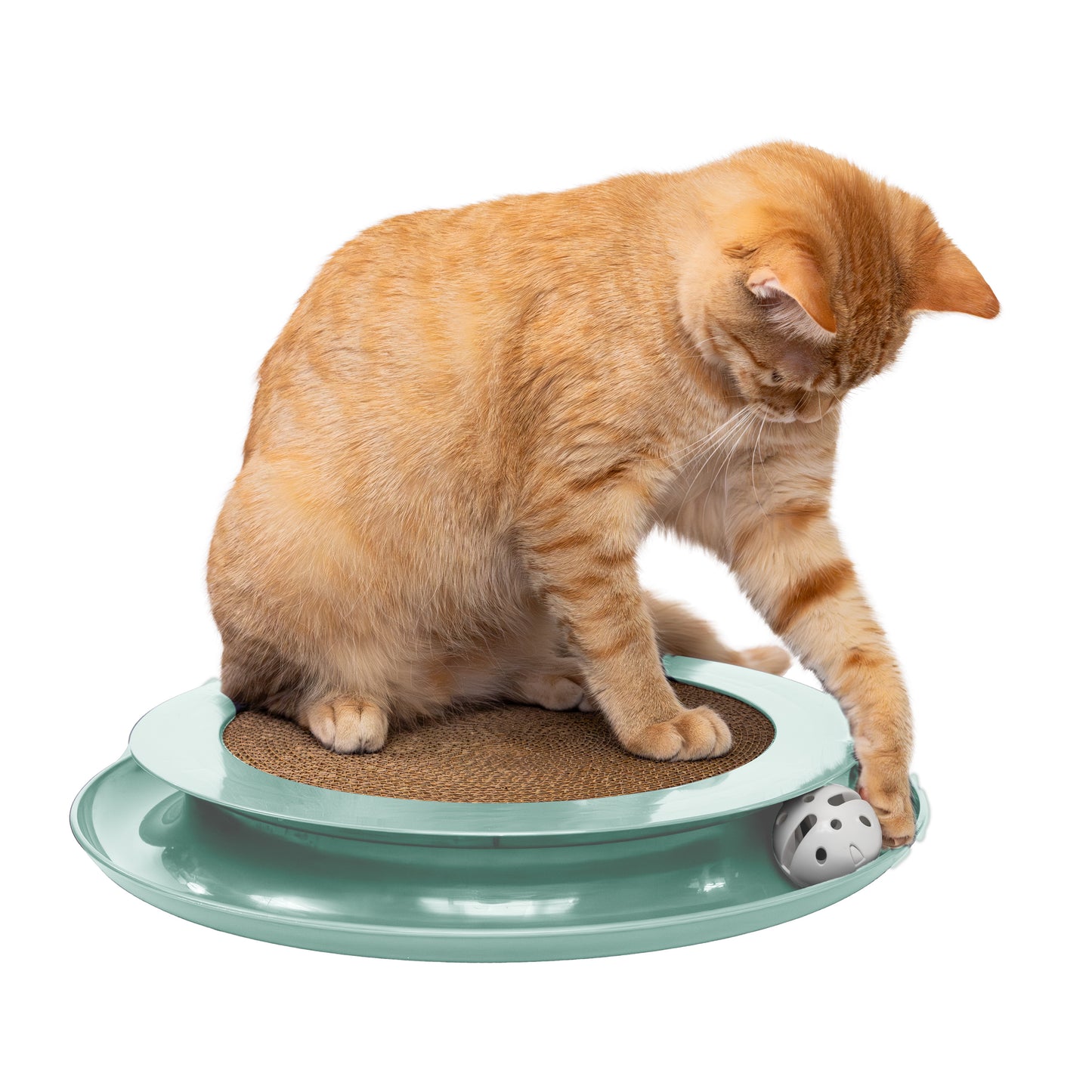 Kitty City Scratch Ball Track Cat Toy