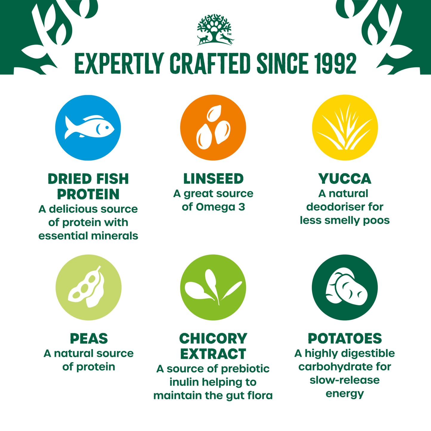 James Wellbeloved Grain Free Adult Dry Dog Food Fish & Veg 10kg