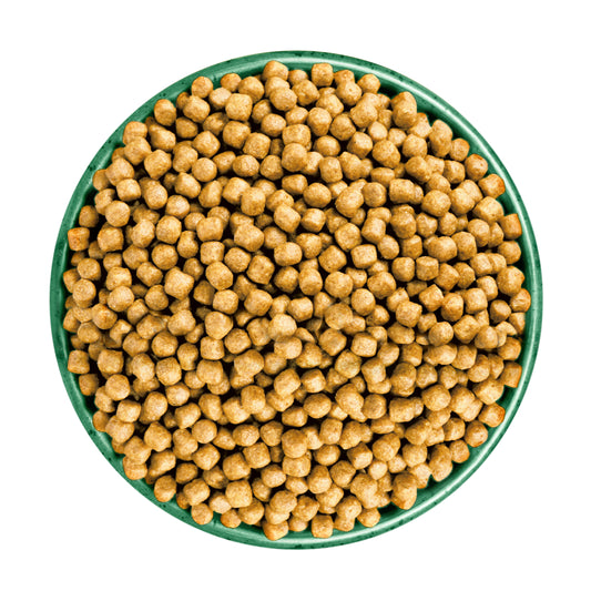 James Wellbeloved Adult Dry Cat Food Turkey 10kg