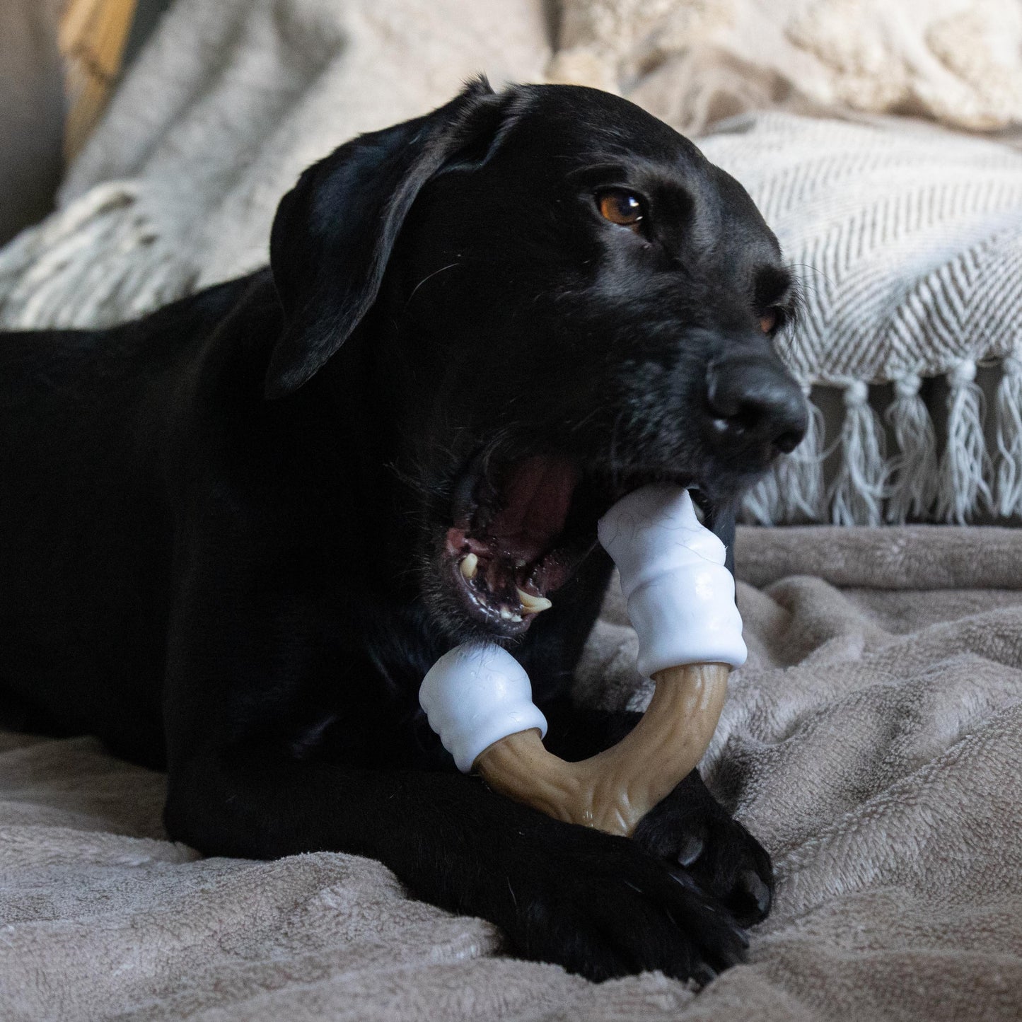 Nylabone Toasted Marshmallow & Peanut Butter Strong Chew Stick Dog Toy